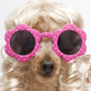 Head of a dog wearing pink sunglasses