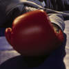 close up of boxing glove